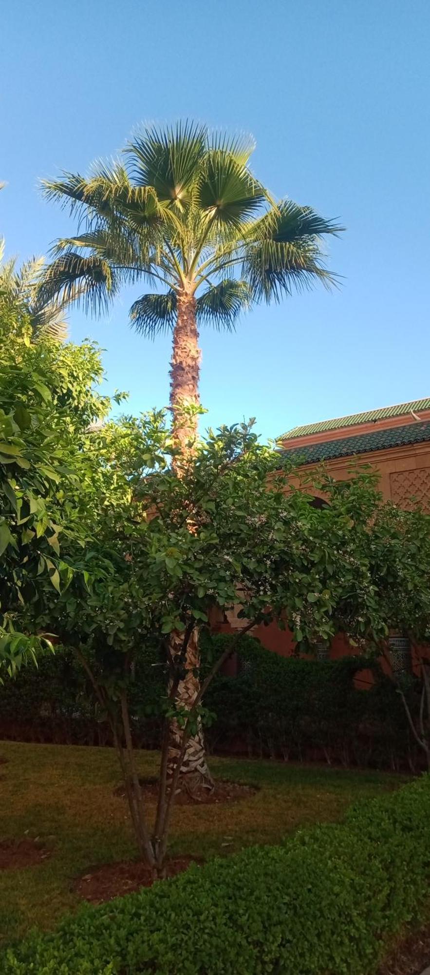 מרקש Riad Al-Bushra מראה חיצוני תמונה