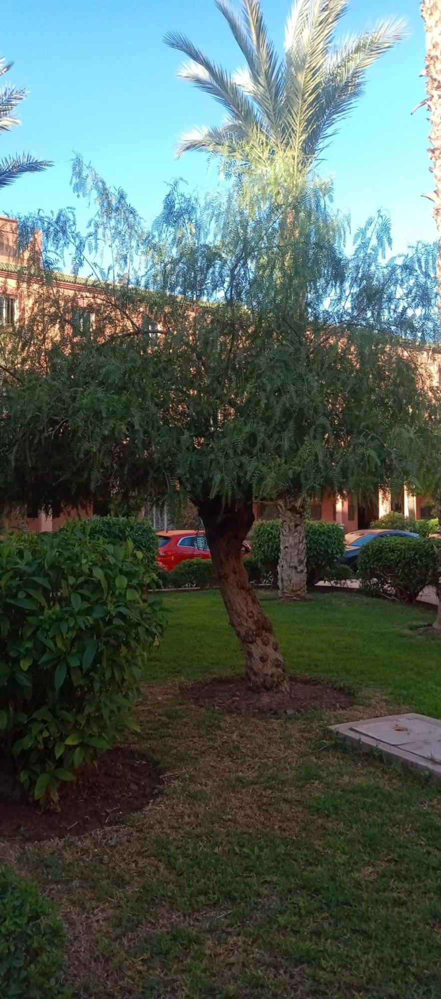 מרקש Riad Al-Bushra מראה חיצוני תמונה