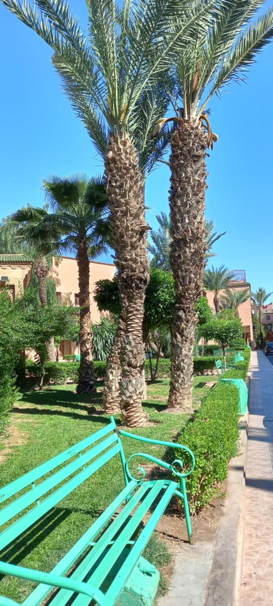 מרקש Riad Al-Bushra מראה חיצוני תמונה